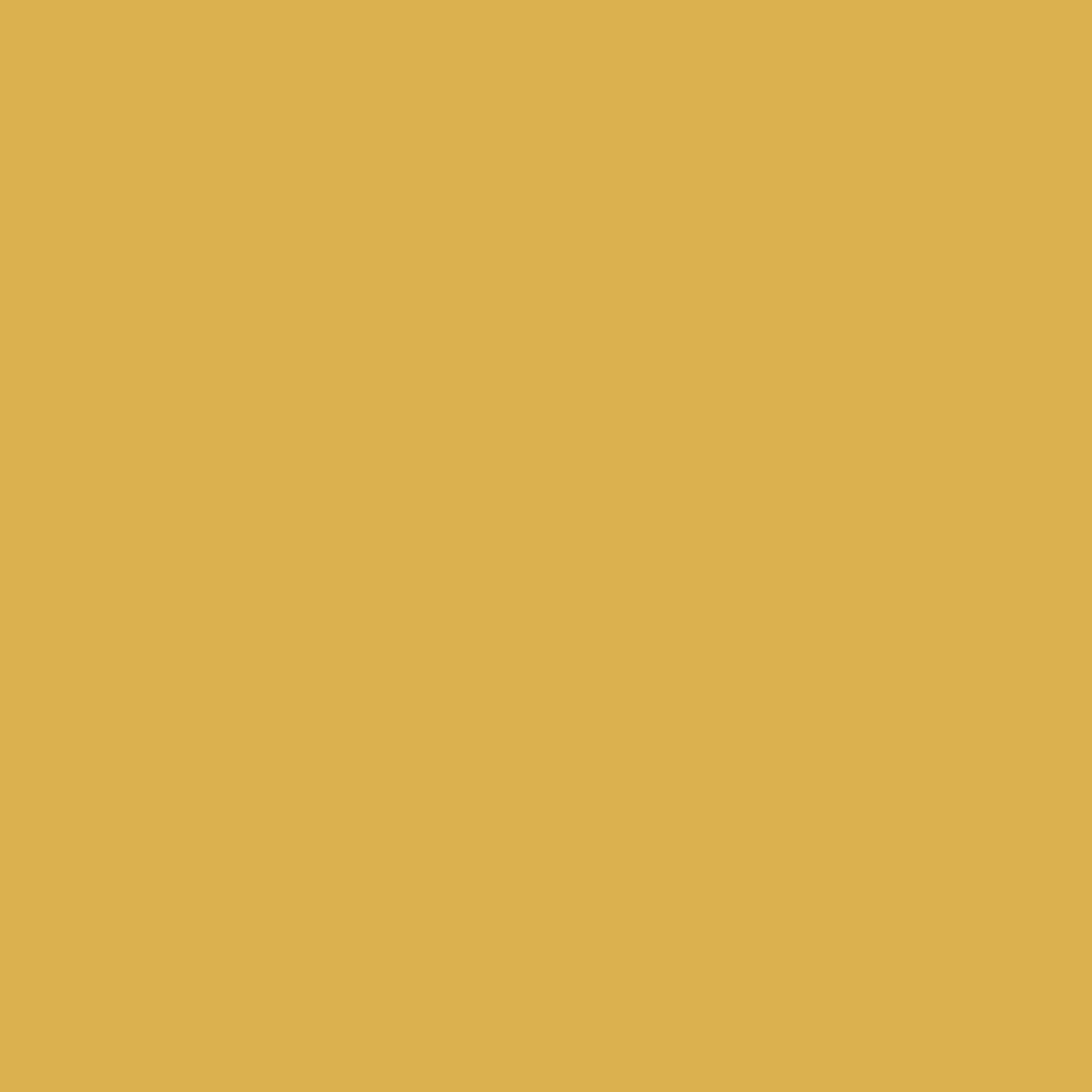 Reeves Fine Artist Watercolour Paints 12ml