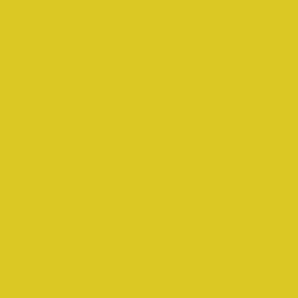 Permacrylik Acrylic Paints 1 Litre