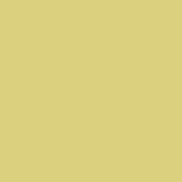 Reeves Fine Artist Oil Paints 50ml