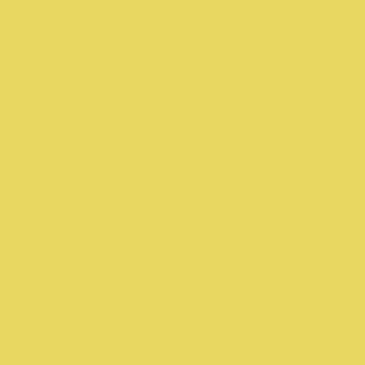 Jo Sonja's Background Acrylic Paints 250ml
