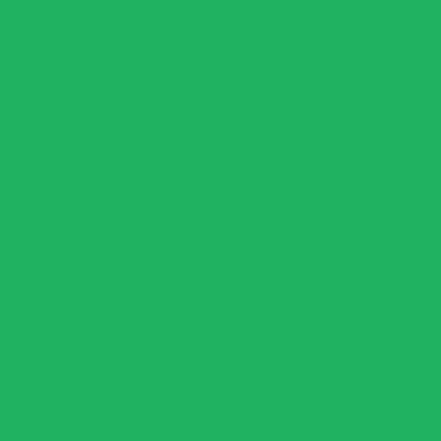 Daler Rowney FW Acrylic Inks 29.5ml