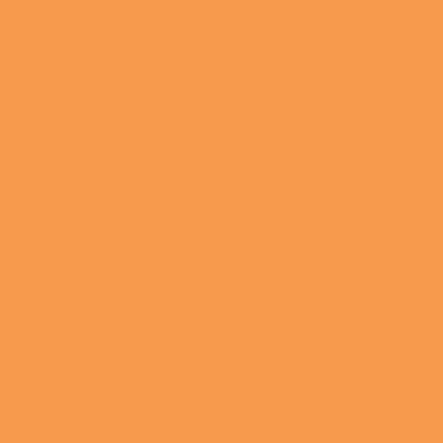 Daler Rowney FW Acrylic Inks 29.5ml