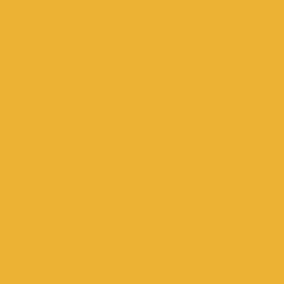 Daler Rowney FW Acrylic Inks 29.5ml