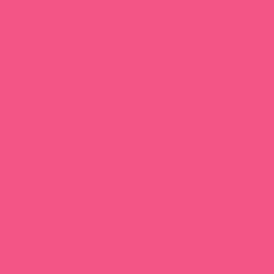 Daler Rowney FW Acrylic Inks 29.5ml