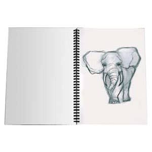 Jasart Jumbo Visual Diaries