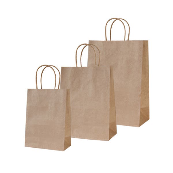 Twisted Handle Kraft Bags