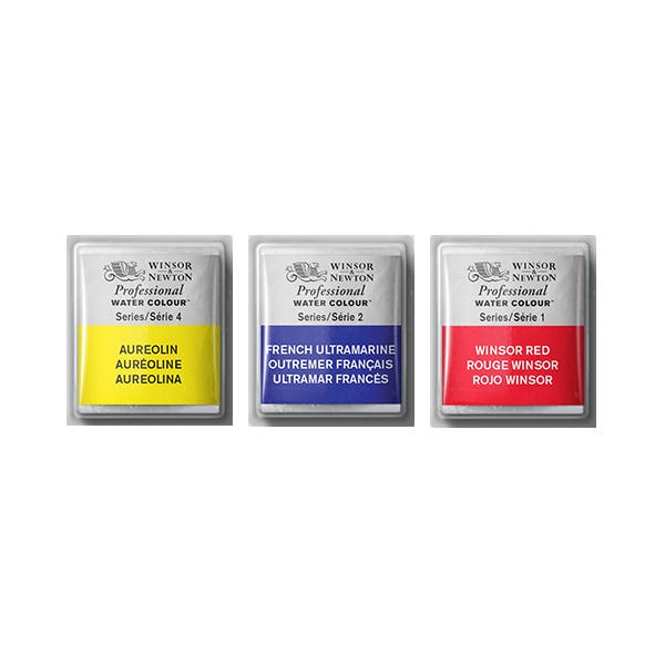 Winsor & Newton Professional Watercolour Paint Half Pans