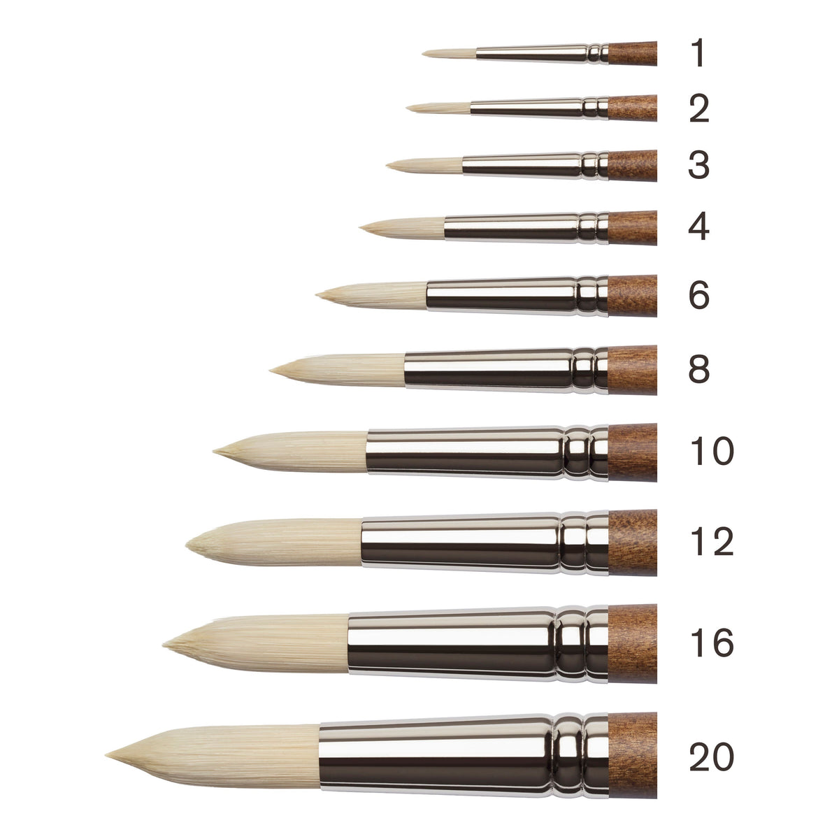 Winsor & Newton Artists' Oil Synthetic Hog Round Brushes