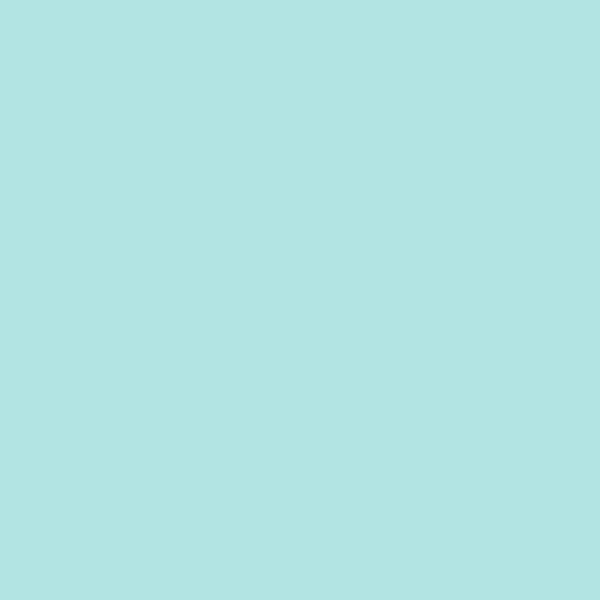 Fabriano Tiziano Pastel Paper 500mm x 650mm