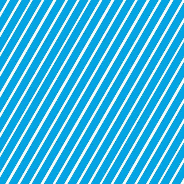 STAEDTLER Triplus Fineliner Pens