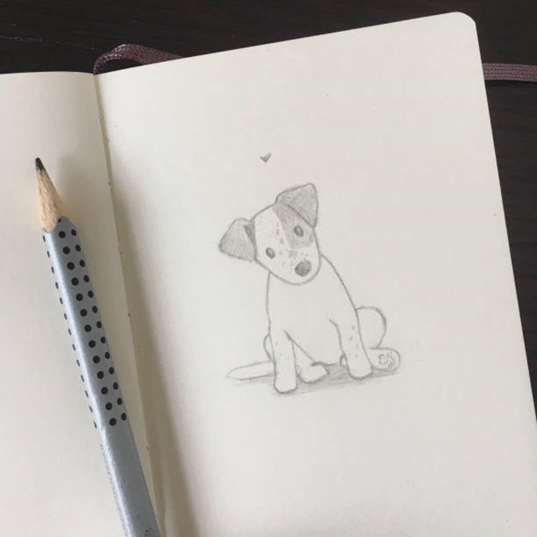 dog sketch