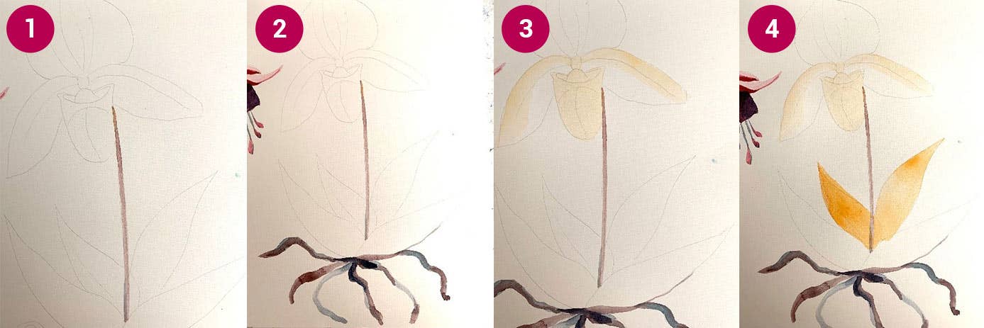 W&N Orchid Step 1-4