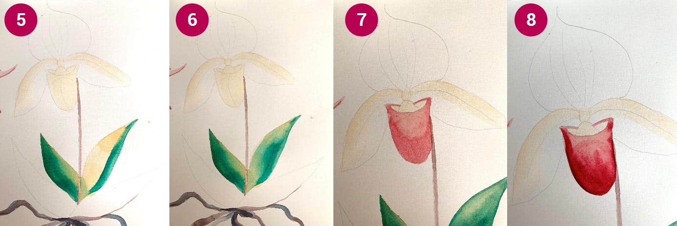 W&N Orchid Step 5-8