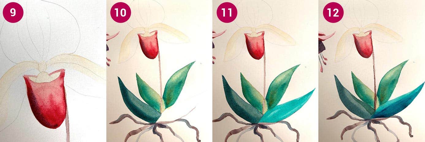 W&N Orchid Step 9-12