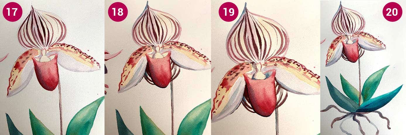 W&N Orchid Step 17-20