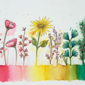 Water Colour Flowers