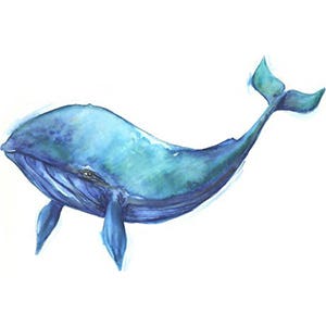 Watercolour Whale