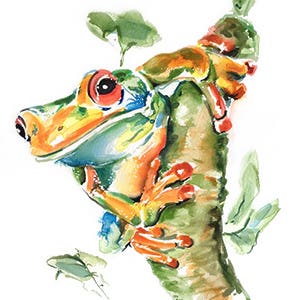 Green Tree Frog Watercolour Workshop