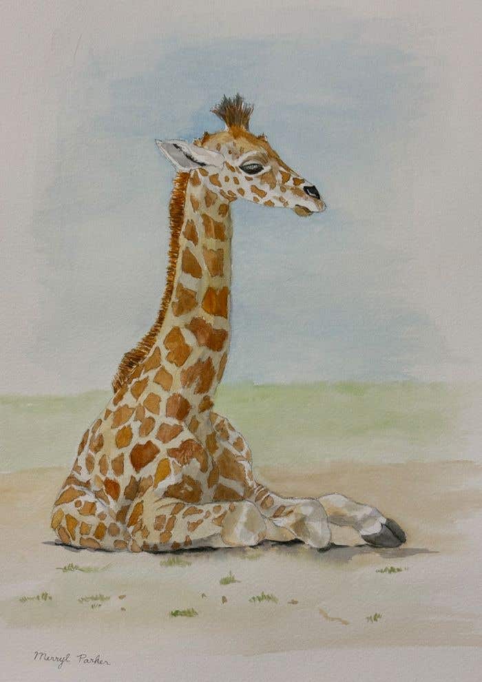 Baby Giraffe Watercolour Workshop Baby Giraffe Watercolour Workshop
