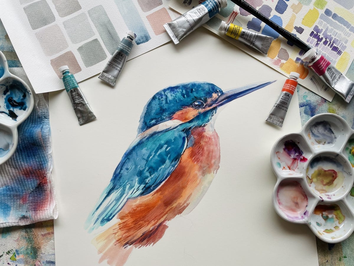 Kingfisher Winsor & Newton Watercolour Workshop
