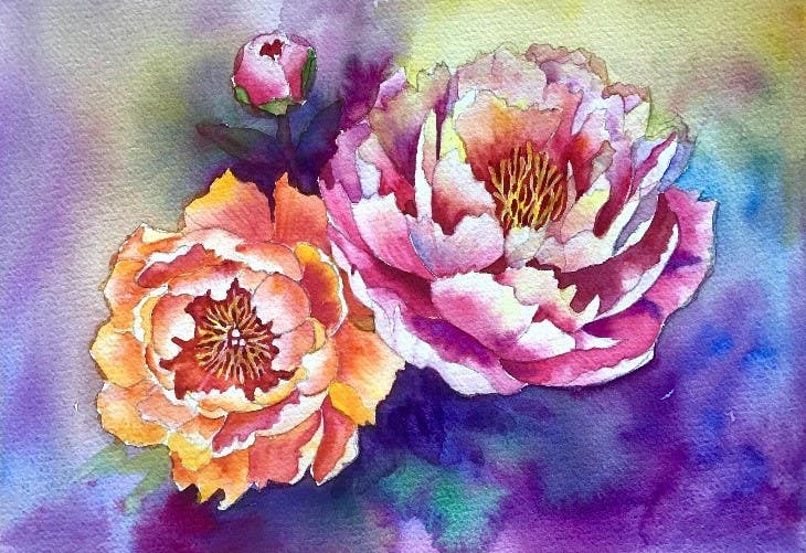 Peonies Watercolour Workshop