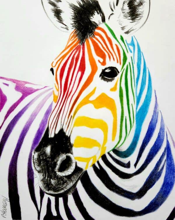 Rainbow Zebra - Coloured Pencil Drawing Workshop