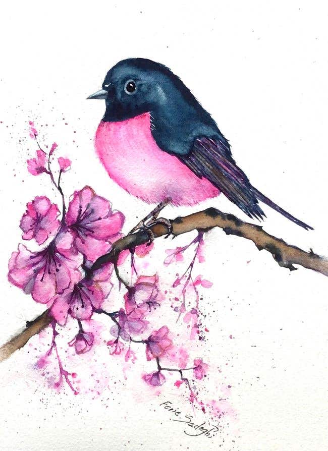 Pink Robin Watercolour Workshop