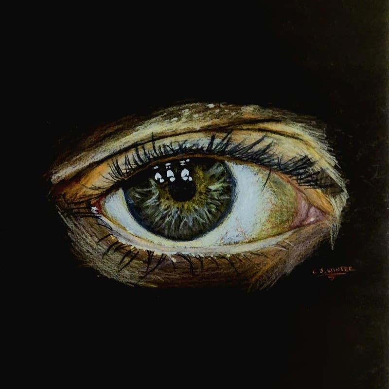 The Eye - Drawing Workshop: Colour Pencil Rendering and Shading