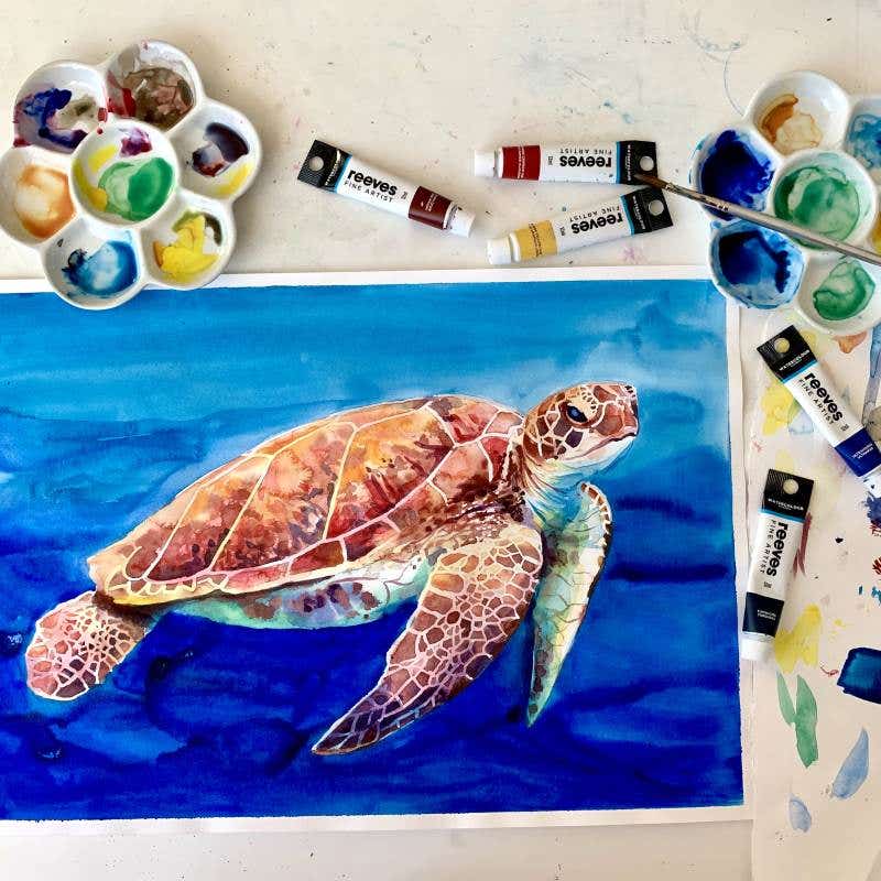 Watercolour Turtle Workshop