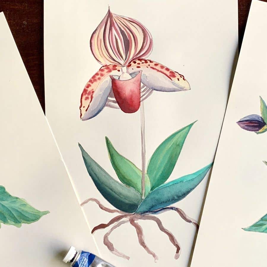 Winsor & Newton Botanical Workshop – Striped Orchid