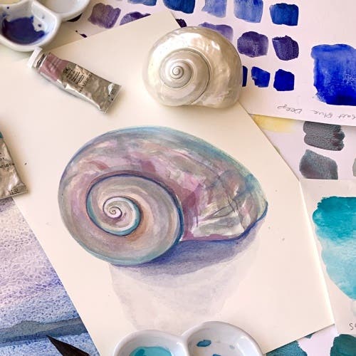 Winsor & Newton Coastal Shells Watercolour Workshop